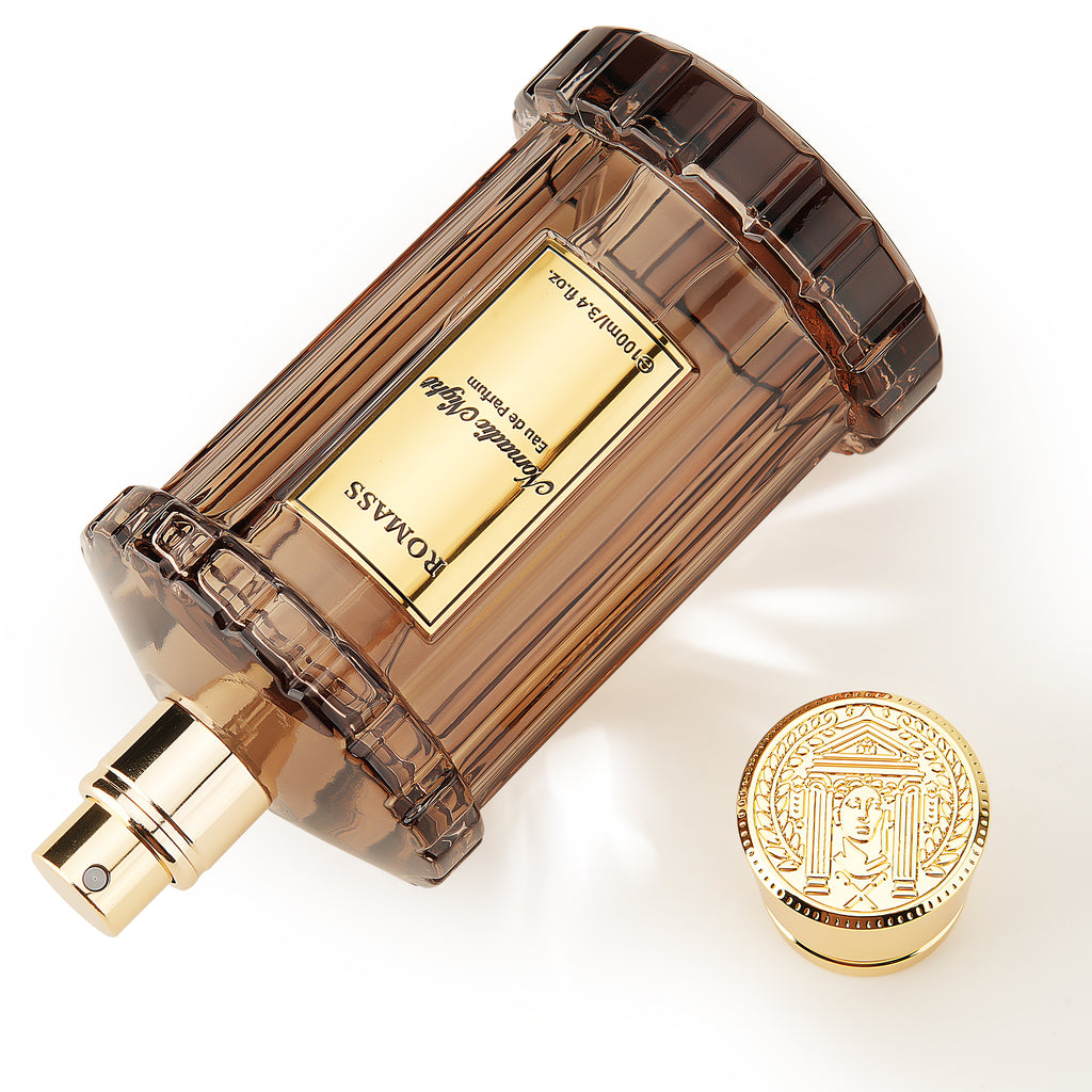 ROMASS Nomadic Night EDP Unisex Parfum 3.4oz 100ml Deep Smoky Oud Leather Raspberry Spices Notes in Elegant Glass Bottle for Adventurous Souls